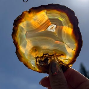 May include: A polished agate slice, displaying bands of amber, gold, and brown. The natural stone is held up to the sunlight, revealing its intricate patterns and textures. The agate's edges are rough, and the overall shape is irregular. The agate is a natural stone.