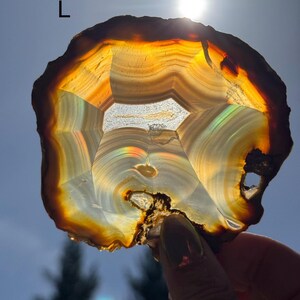 May include: A polished agate slice, displaying layers of brown, orange, and white. The sunlight illuminates the centre, creating a rainbow effect. The edges are irregular. The stone is held up to the sun.