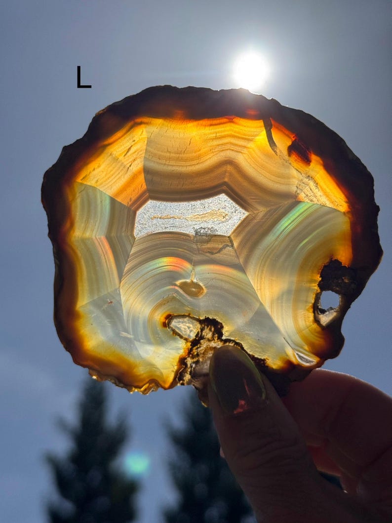 May include: A polished agate slice, displaying layers of brown, orange, and white. The sunlight illuminates the centre, creating a rainbow effect. The edges are irregular. The stone is held up to the sun.