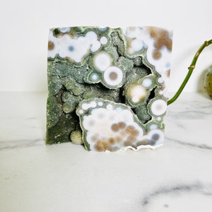 8th Vein Ocean Jasper Freeform