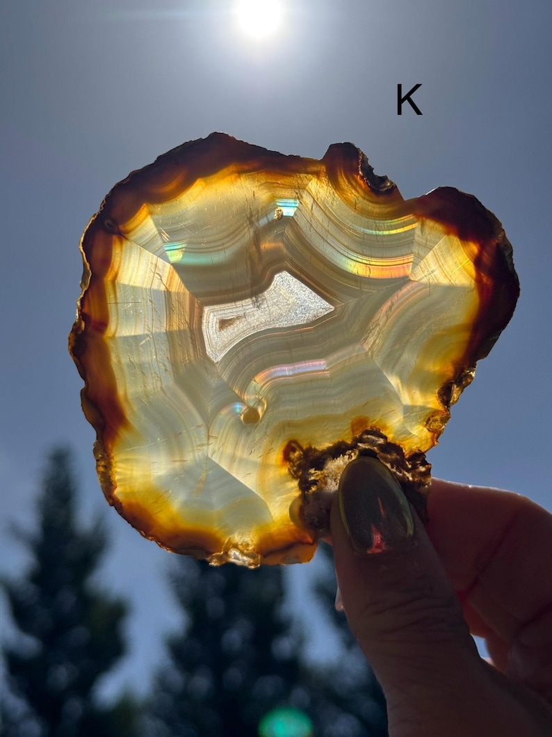 May include: A hand holds a polished agate slice, showcasing natural bands of brown, gold, and white. The translucent stone has an organic shape and a lighter central area. The letter "K" is visible in the background.