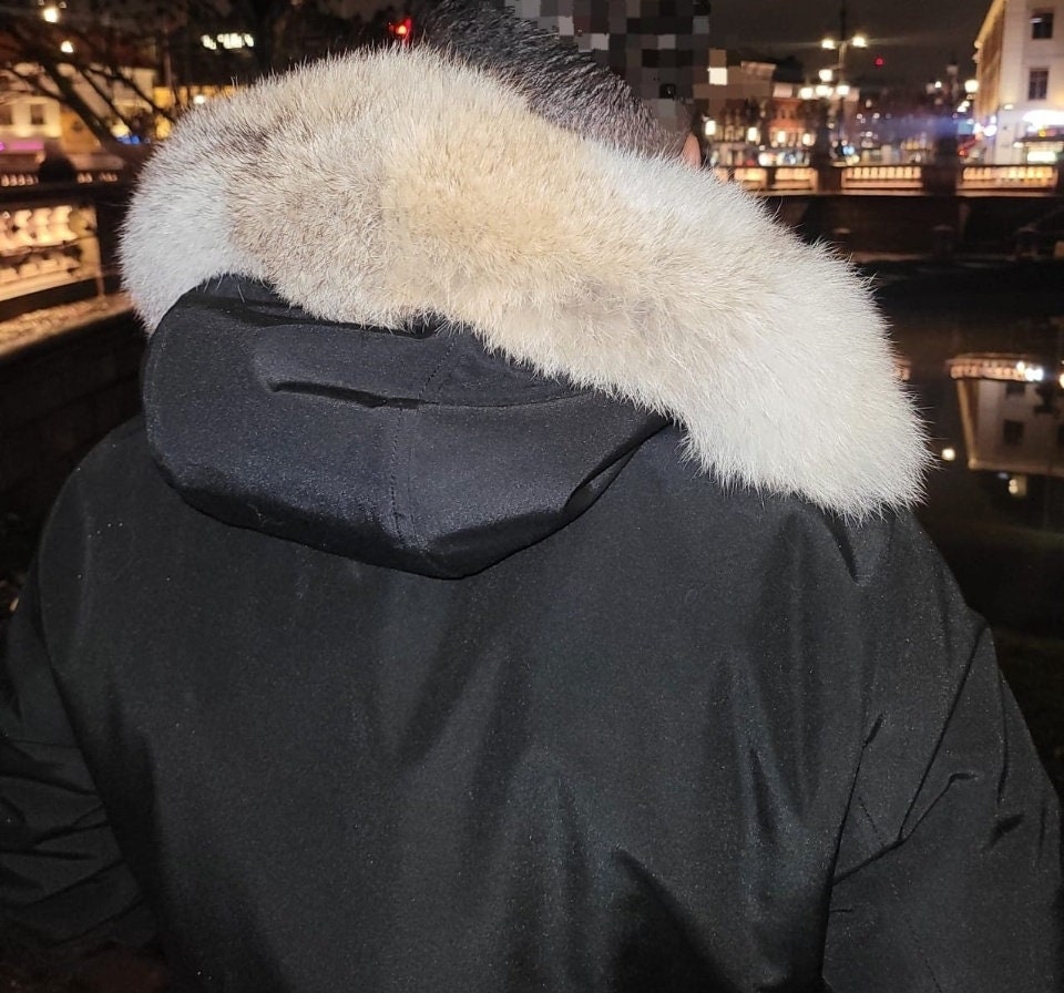 Canada Goose Fur Trim Replacement Collar : Premium coyote fur trim