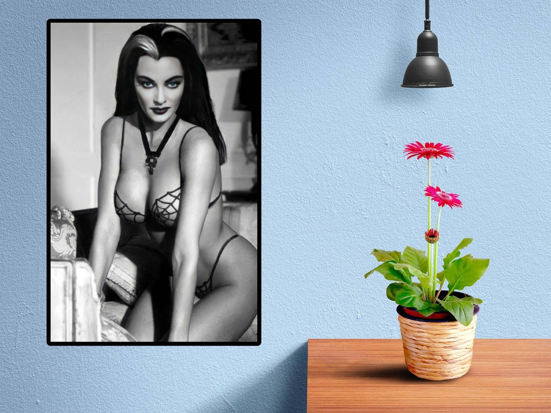 Lily Munster 2 Vintage Hot Model Sexy Photo Bikini TV Star Etsy