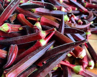 Heirloom Red Okra Seeds!! - Homegrown - Red Burgundy Variety