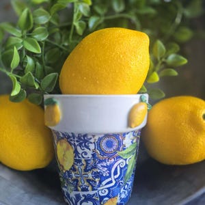 Puede incluir: Una maceta decorativa de cerámica con un patrón de azulejos azules y blancos, detalles de limón y tres limones amarillos brillantes. El fondo es follaje verde. La maceta está llena de un limón.