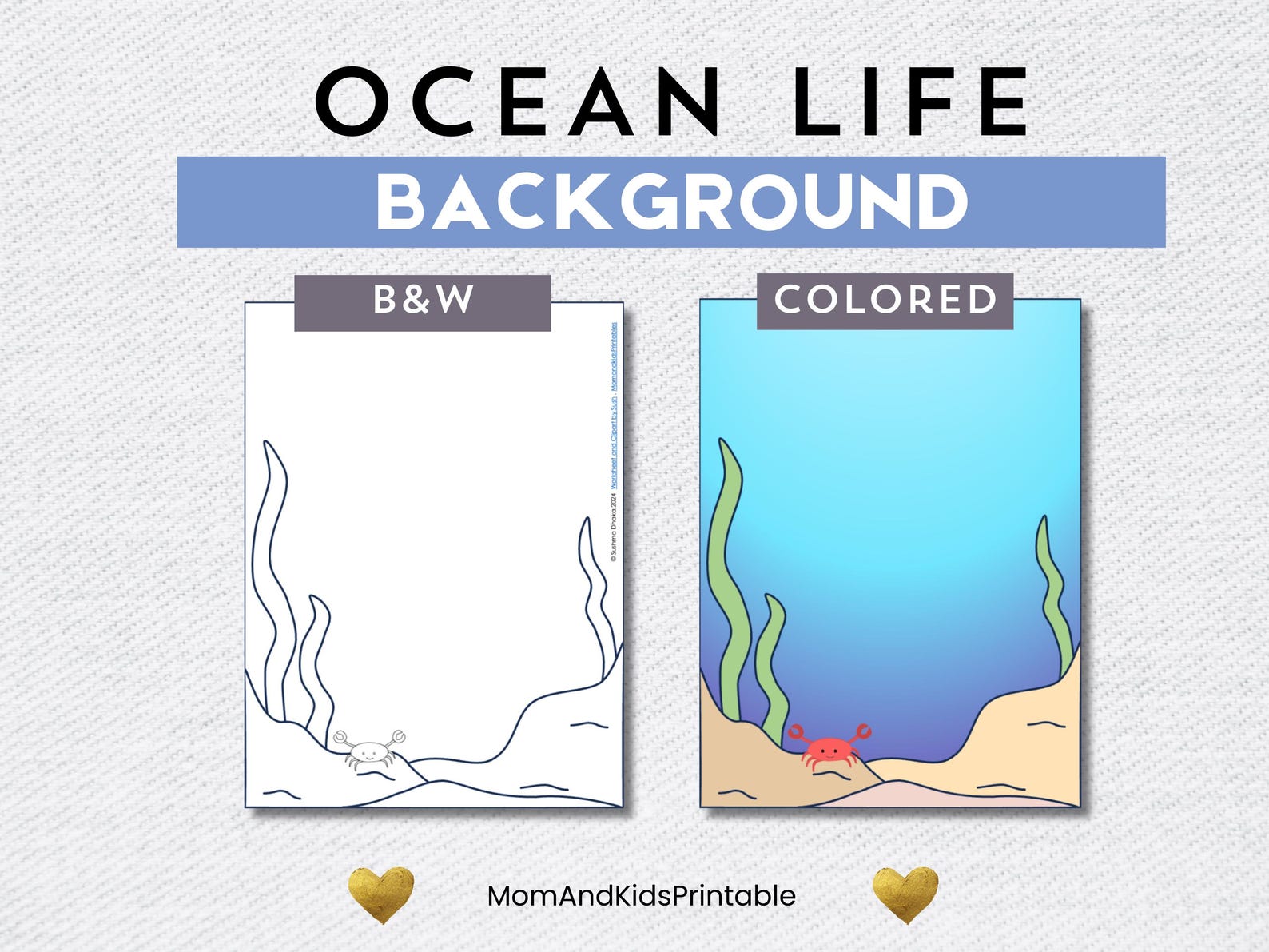 Ocean Life Cut and Paste Activity: Preschool Scissor Skills (PDF) - Etsy