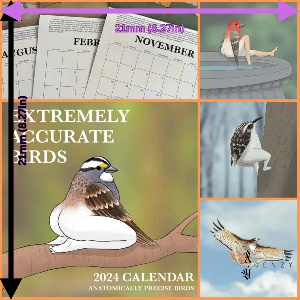 2024 Extremely Accurate Birds Calendar 21cmX21cm