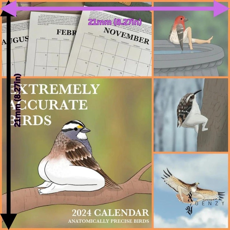 2024 Extremely Accurate Birds Calendar 21cmx21cm Etsy