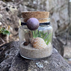 May include: A small glass jar with a cork stopper, containing sand, a seashell, small stones, and greenery. The jar is topped with a decorative purple sphere and black twine. The jar is sitting on a gray rock.