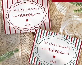 Nurse Ornament The Year I Became a Nurse Christmas Ornament Nursing School Graduation Gift Nurse Milestone Keepsake for Healthcare Workers