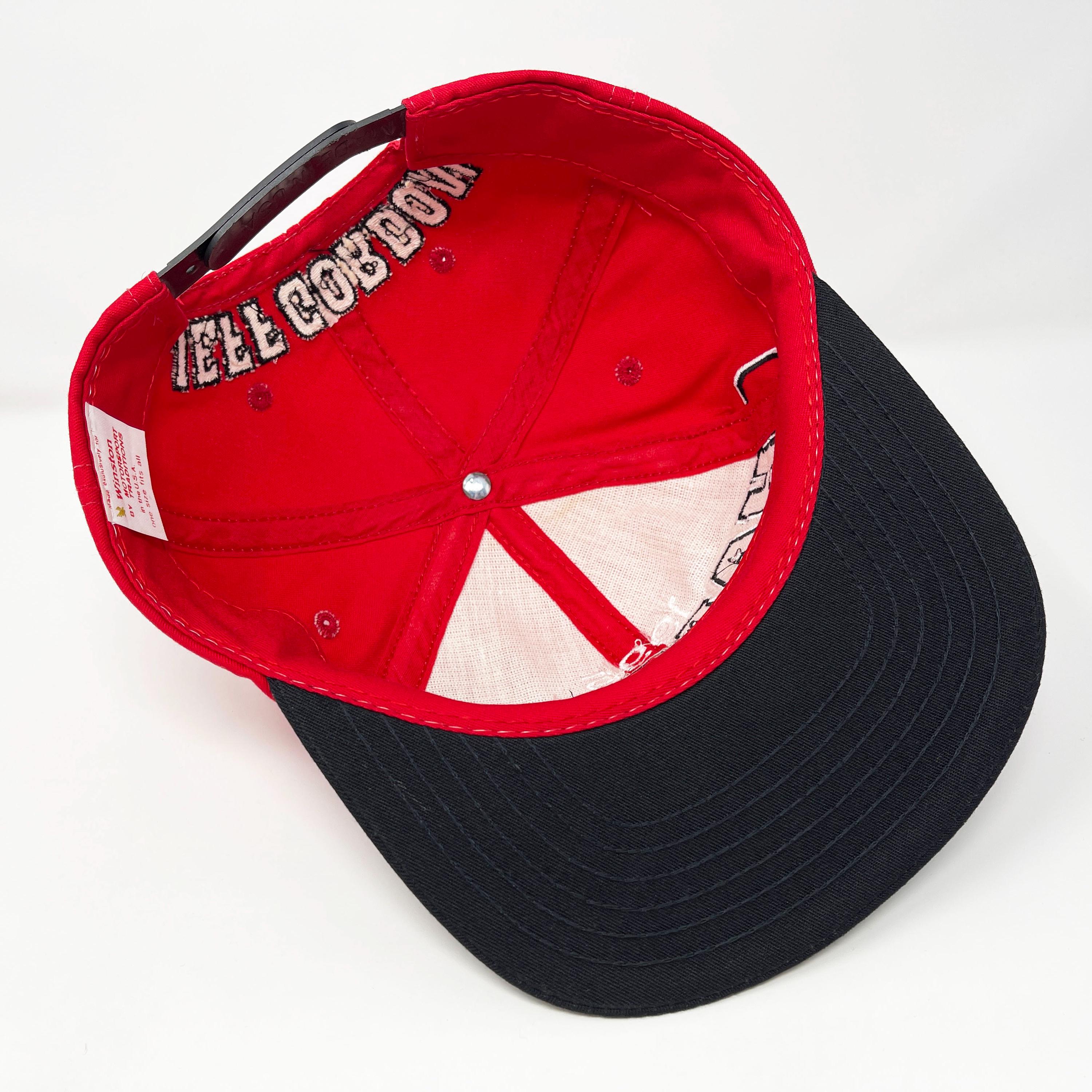Vintage Jeff Gordon Hat • 90s NASCAR Racing Snapback Cap • 1995