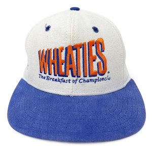 Vintage Wheaties Earnhardt Hat • 90s Dale NASCAR Racing Snapback Cap • STAINED