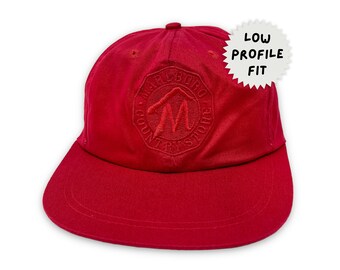 Casquette Snapback Vintage Stroh's Beer – Années 80 – Maille Et Mousse – Neuf Sans étiquette