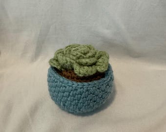 Crochet Succulant Plant. Desktop/countertop decoration.