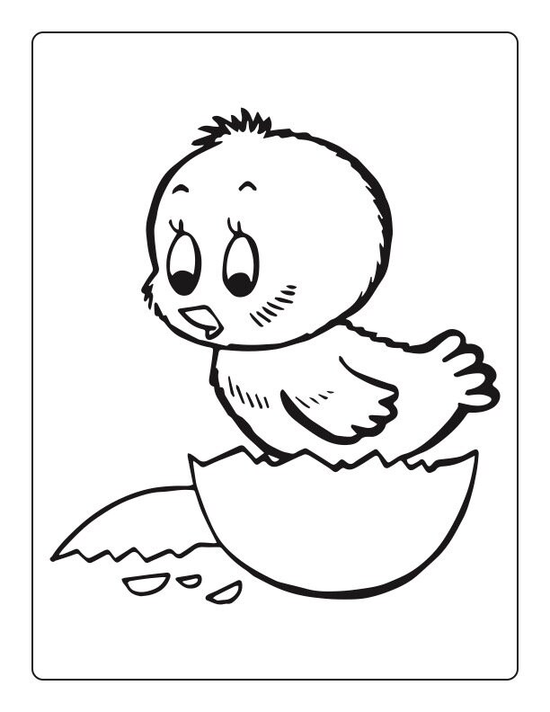 2000 coloring pages for kids to create coloring books etsy