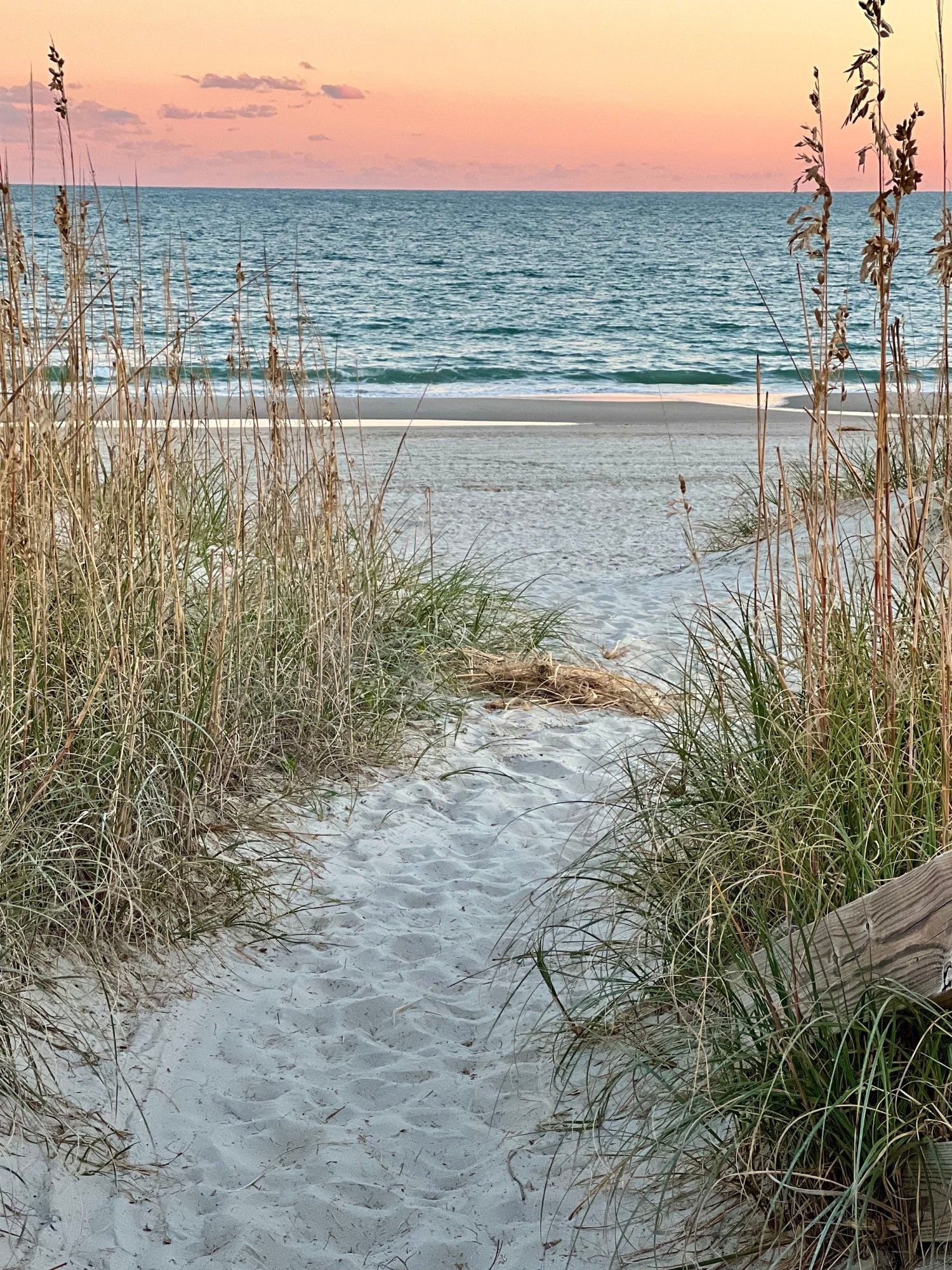 Beach Walkway, Beach Access, Sand Dunes, Digital Download