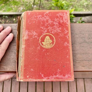 Antyczna książka „Alicja w Krainie Czarów” z 1886 r. • Klasyczne wydanie Lewisa Carrolla • Fantazyjny prezent dla kolekcjonera • Antyczna książka z opowiadaniami • Zniszczone piękno •