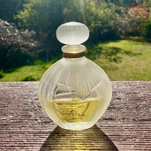 ニナリッチの香水80年代 - Etsy 日本