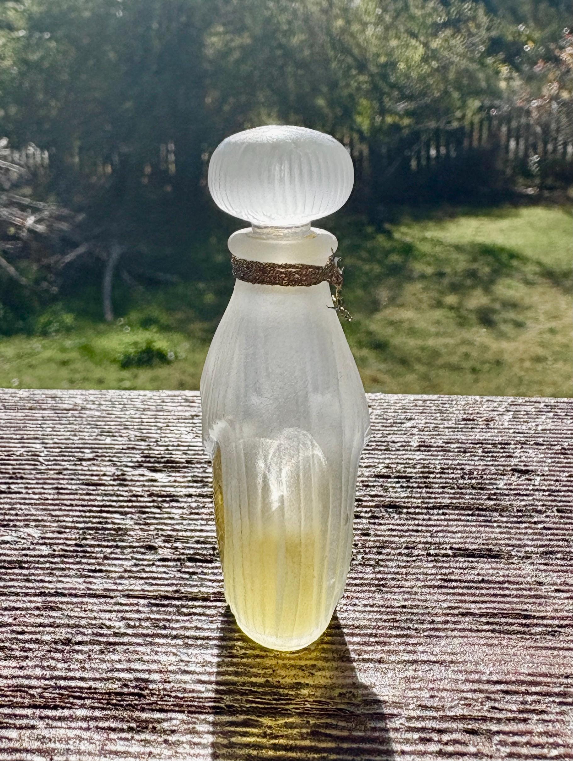 Vintage Nina by Nina Ricci Perfume Bottle Circa 1987 Classic