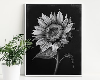 【送料込】NOVEMBER ARTISTE BLACK DESIGN 150cm Black and White Yayoi Kusama Gallery Print, Abstract Wall Print