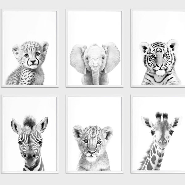 Nursery Safari Animals Black and White Art Prints - Set of 6 - Nursery Wall Decor - Digital Print Download - Nursery Wall Art, Baby Animal