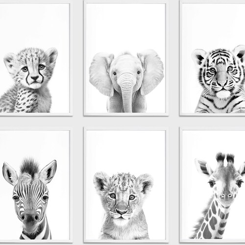 Jungle Nursery Decor Black & White Nursery Animal Prints Etsy Australia