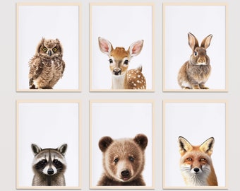 Color de animales del bosque del vivero, conjunto de 6 impresiones digitales, decoración del vivero del bosque/arte de la pared del vivero, animales lindos para la habitación y la guardería de los niños