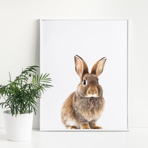 Nursery Woodland Bunny Rabbit | Color Kids Room Woodland Animals, Realistic Minimalist Animal Art|Digital Download,Neutral Nursery Print