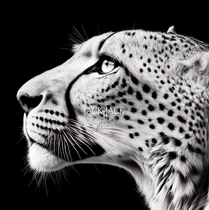 big-cat-portrait-profile-black-and-white-print-minimalist