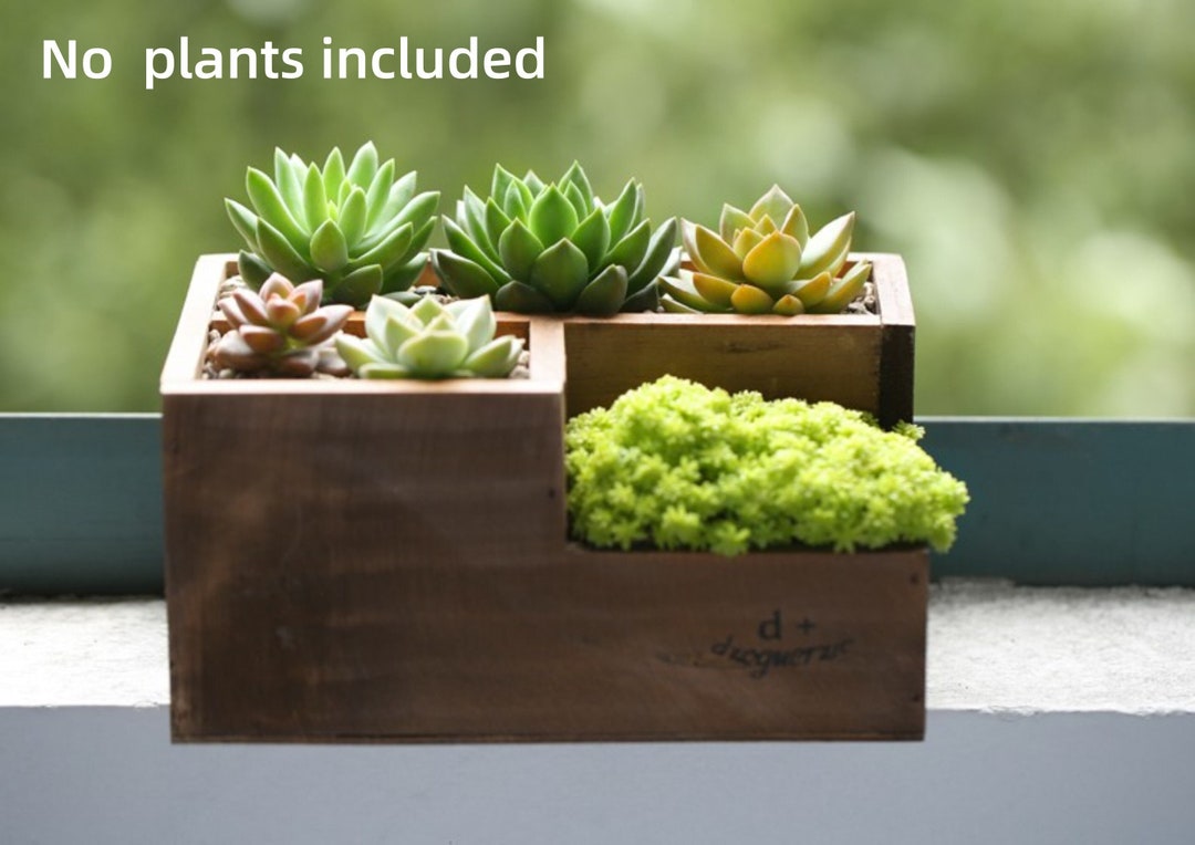 Wood Bonsai Pot Handmade Indoor Plant Pot Unique Flower Pot Etsy