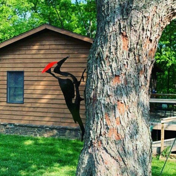 Decor Garden Pileated Woodpecker Metal Steel Garden Yard Art Etsy