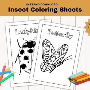 Printable Insect Worksheet, 10 Insect Coloring Pages for toddlers, Instant download.