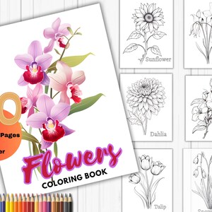 Einfache Blumen Malseiten für Erwachsene, Blumen einfach zum Ausmalen, Digitale Ausmalseiten, Blumen Malbücher, botanisches Malbuch.