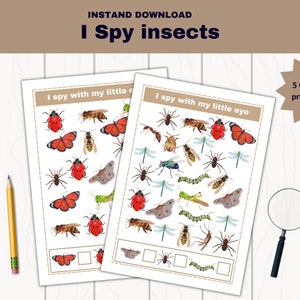 Insect I Spy Game, Preschool printable Insect Study, Insect Homeschooling Resource, printable insect worksheets