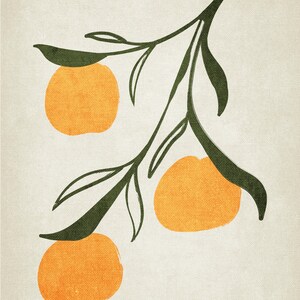 Oranges Poster, Fruit Print, Fruit Poster, Oranges Print, Oranges Wall Art, Fruit Wall Art, New Home Gifts, Oranges Illustration-LARGE image 5