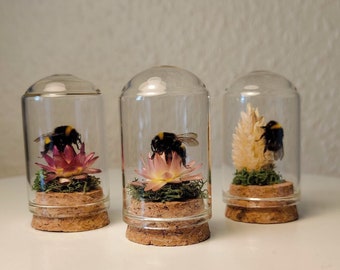 Hummel in Miniatur Glaskuppel mit getrockneter Blume