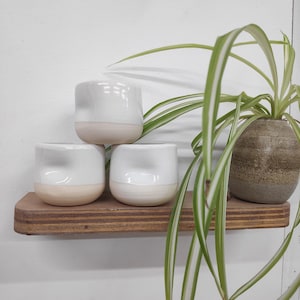 May include: Three small, white ceramic planters with a beige base sit on a wooden shelf. A fourth, larger, textured, brown ceramic pot holds a green plant with long, thin leaves. The shelf is mounted on a white wall.