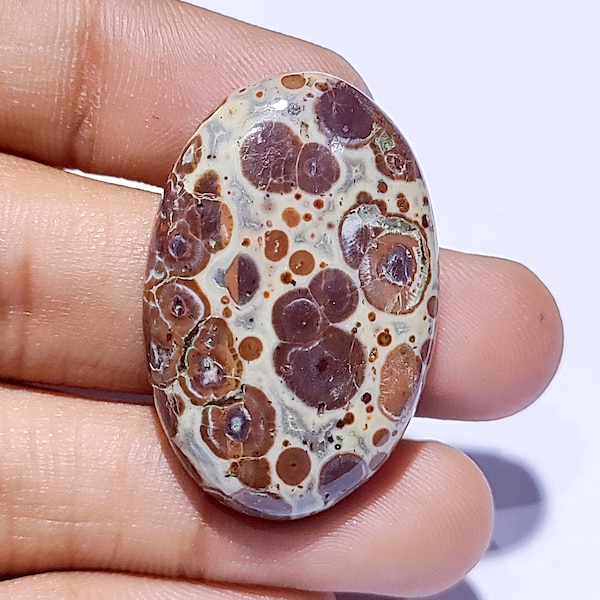 Asteroid Jasper Cabochon Gemstone Asteroid Jasper Pendent Size Stone Handmade Stone Gemstone Asteroid Jasper Cabochon Making Jewelry Stone