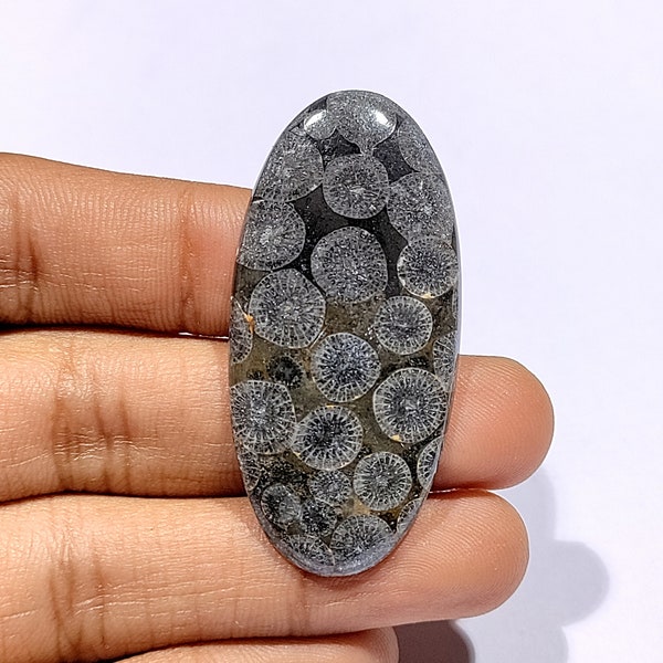 Black Fossil Coral Cabochon Fossil Coral Gemstone Natural Fossil Coral Cabochon Designer Cabochon Hand Made Loose Gemstone Jewelry Making