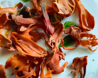 Whole Mace Gewürz (Javitri): Frisch, Aromatisch, Indisches Kochgewürz