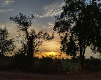 May include: A scenic landscape photograph captures a sunset. The sun, a bright orb, is positioned low in the sky, casting a warm glow. Silhouetted trees frame the scene, with their dark forms contrasting against the colorful sky. The sky transitions from orange to blue.