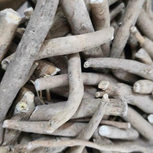 May include: Close-up of a pile of light brown, irregularly shaped wooden sticks. The sticks vary in size and thickness, with some showing cut ends. The overall texture appears rough and natural.