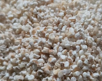 May include: Close-up of a pile of small, irregularly shaped grains. The grains are primarily off-white with some tan and brown flecks, creating a textured appearance. The image is well-lit, highlighting the details of the grains.