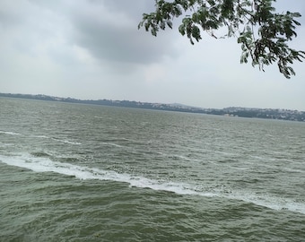May include: A wide shot of a large body of water under a cloudy sky. The water is choppy with whitecaps, and a shoreline with buildings is visible in the distance. Green foliage hangs from the top right corner.