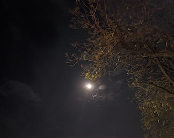 May include: A nighttime landscape featuring a full moon shining brightly through a cloudy sky. The silhouette of a tree with bare branches and a few yellow leaves is visible on the right side of the image, creating a contrast against the dark background.