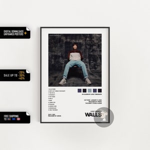 Louis Tomlinson (Walls World Tour 2020) Music Poster - Lost Posters