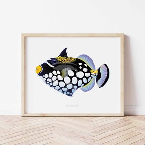8 x 10" saltvattenfiskkonst / Fläckig Anthias / Bangaii Cardinal / Clown Triggerfish / Harlekinluva / Leopard Wrasse / 6-linig Wrasse / Rävansikte