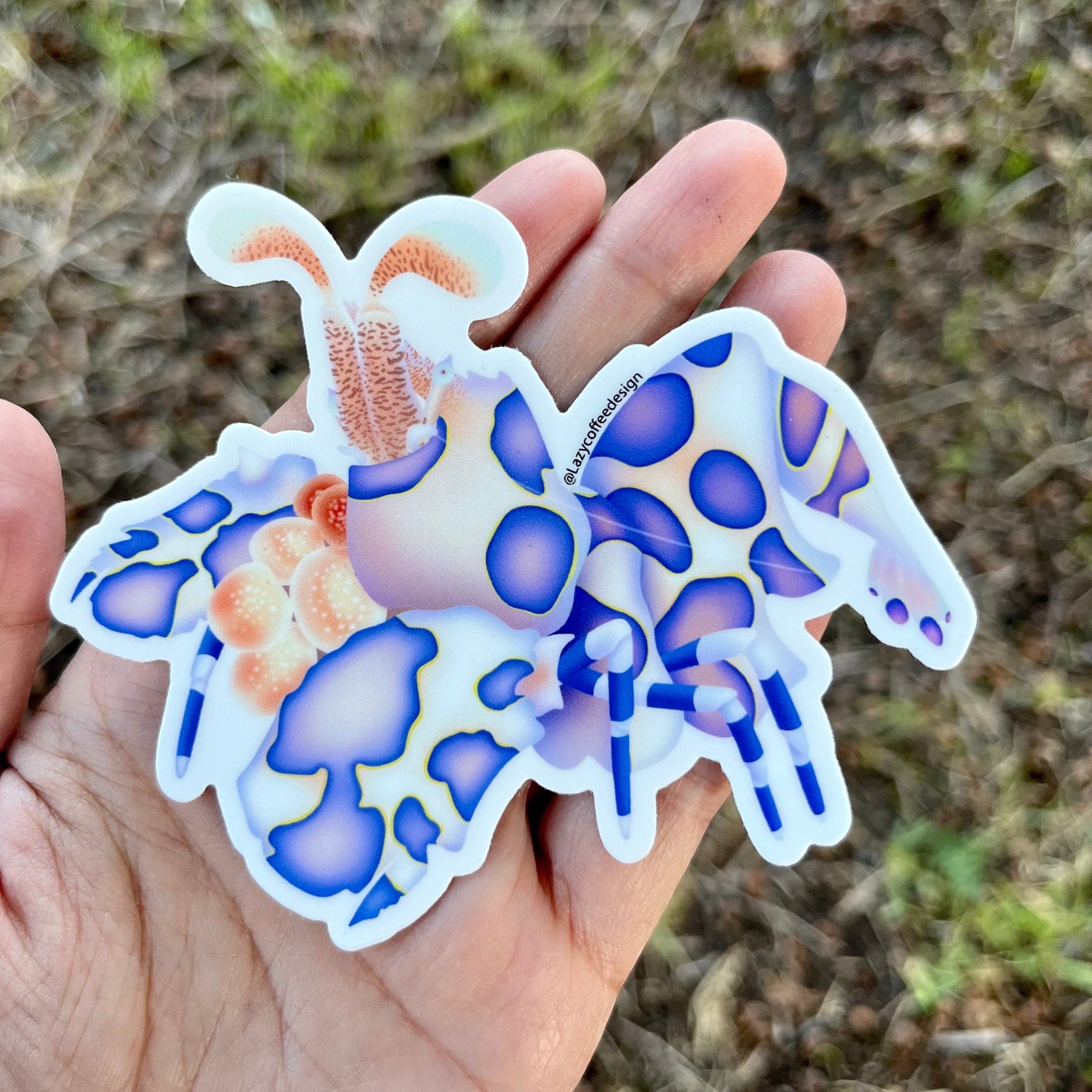 4” Harlequin Shrimp Sticker/ Coral, reef and sea animal art for water bottle, laptop and saltwater aquarium