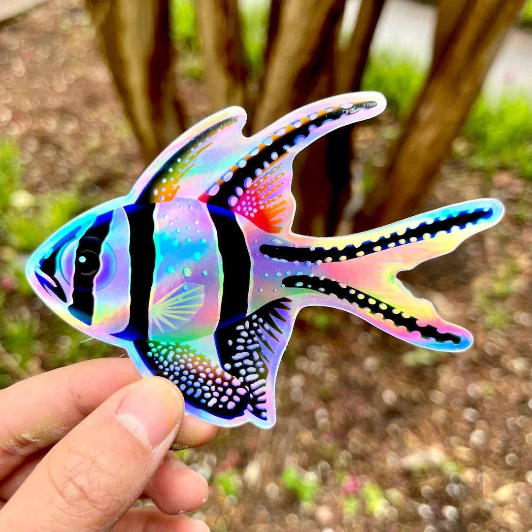 4” Rainbow Banggai Cardinal Reef Fish Holographic Sticker/ Coral, Reef ...