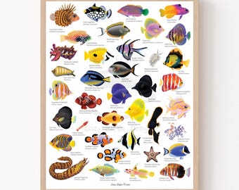 11 x 14" Reef Fish and Sea Creatures Art Print / Saltwater fish aquarium art